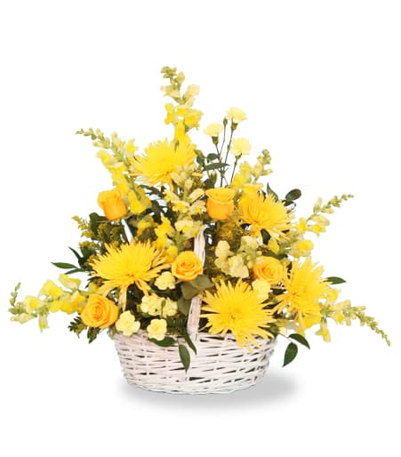 Yellow Splash Basket